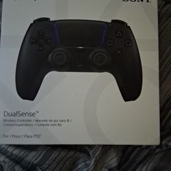 Ps5 Controller