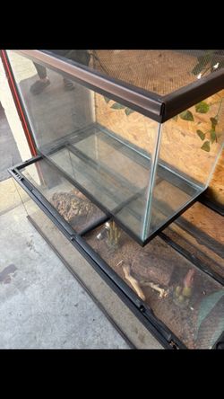 Reptile Tanks