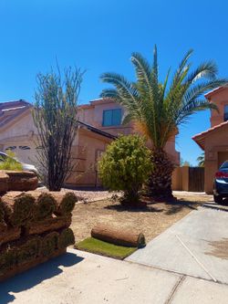 Grass for sale! $2 Per Sqft! 