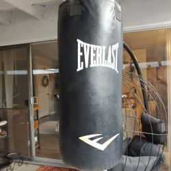 Punching Bag
