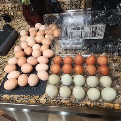 Eggs $1
