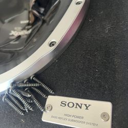 Sony System 1,000 Watts Each Sub