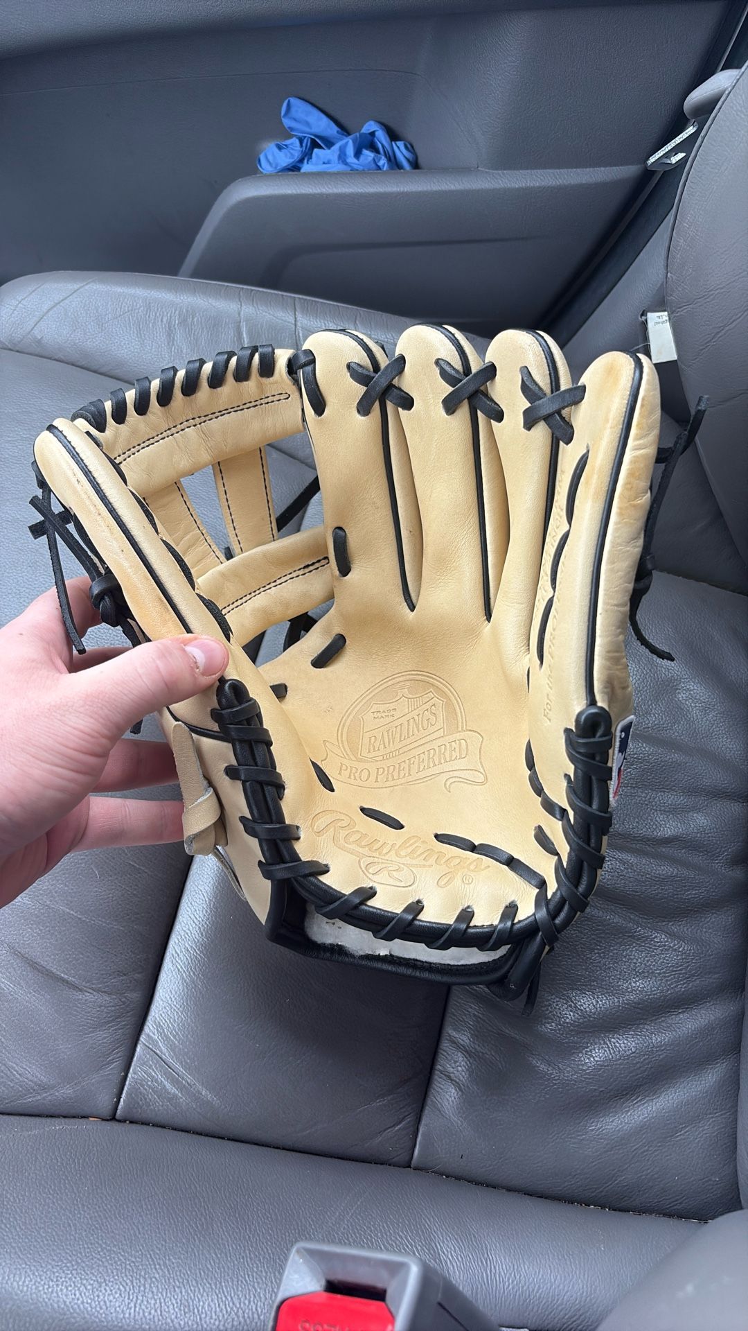 Pro Preferred Baseball Glove