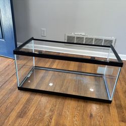 Free Large Aquarium 