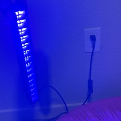 Purple LED Lights 