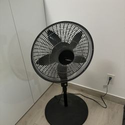 Fans, Desk, Mirrors +more - Moving Out