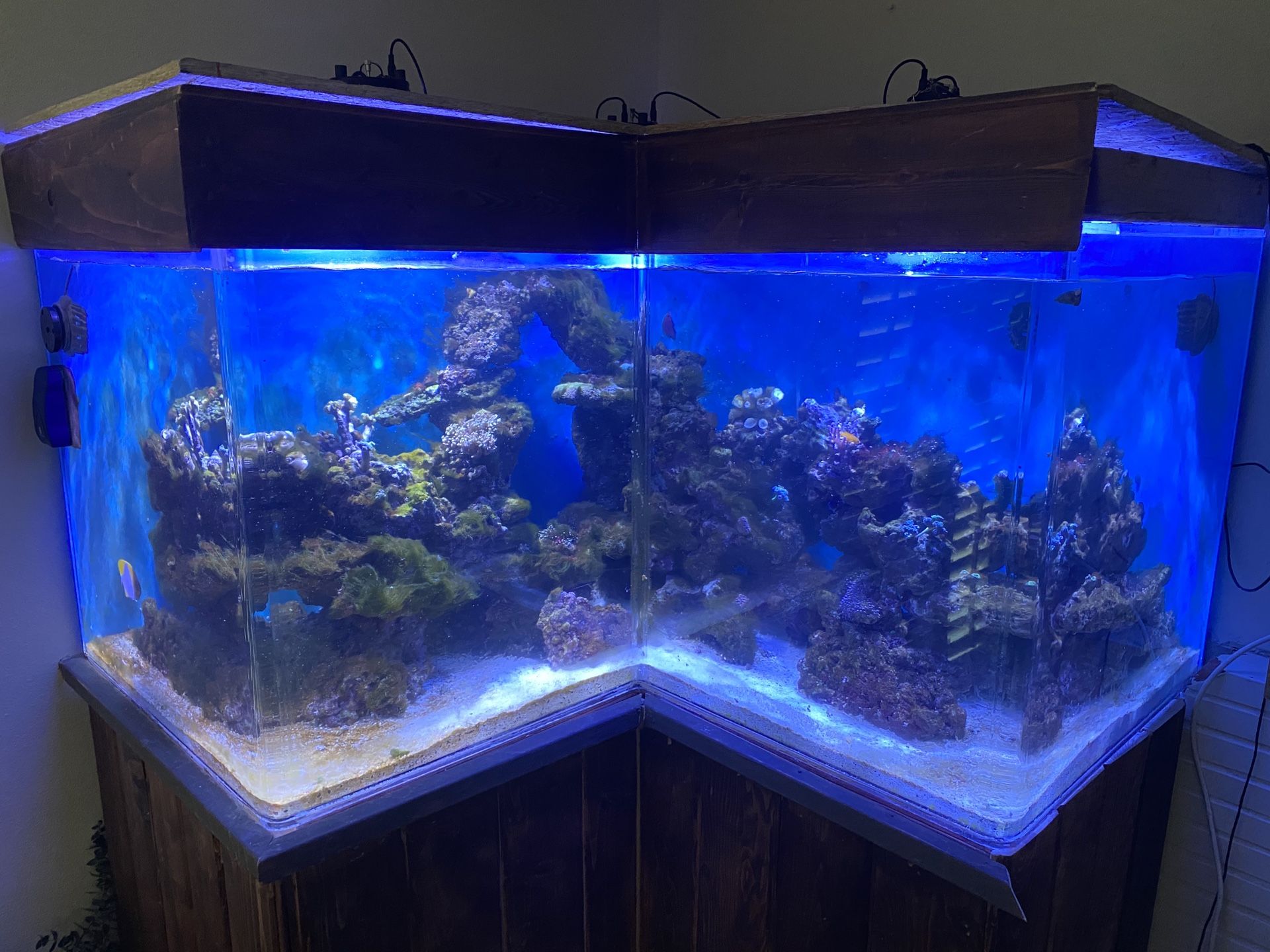 Cheap!!! Must go 130 gallon salt water fish tank for Sale in Hacienda