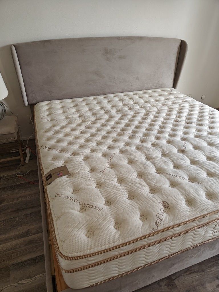 DEAL!! Satva Cal King Mattress! Deal Cuisinart Toaster Oven Blue Rug Plants Stool Lamp!