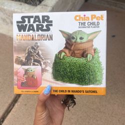 Grogu Chia Pet