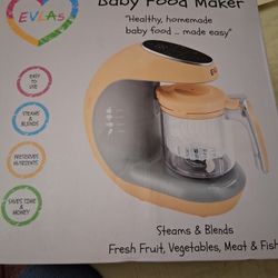 EVLA's Baby Food Maker 