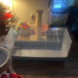 Rabbit And Guinea Pig Cage