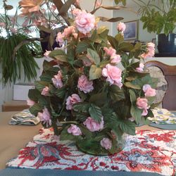 Silk Pink Camila Bush