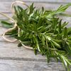 Rosemary