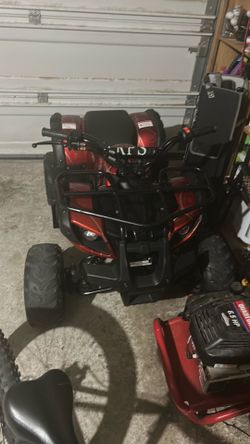 125cc Tao Tao fourwheeler