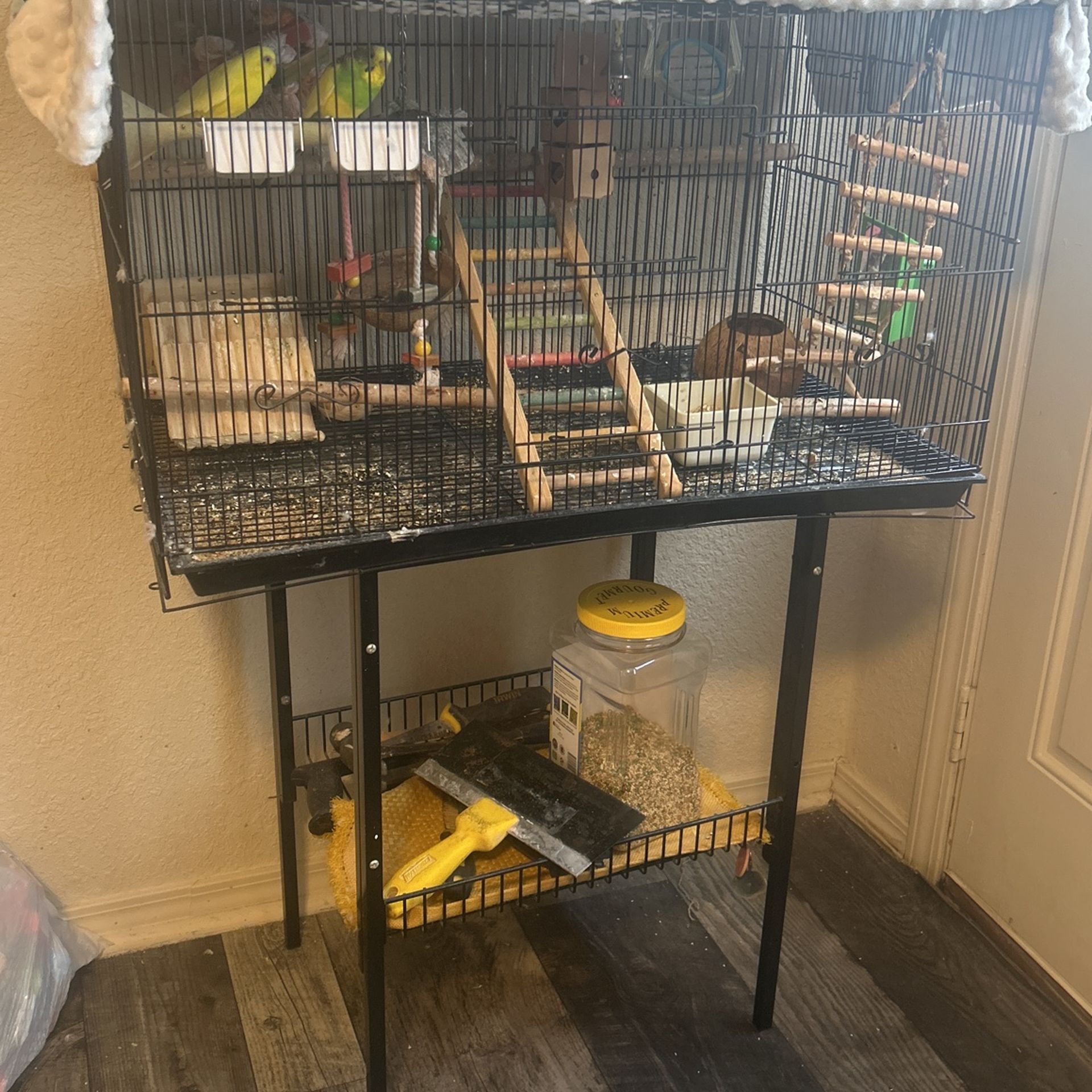 For Sale