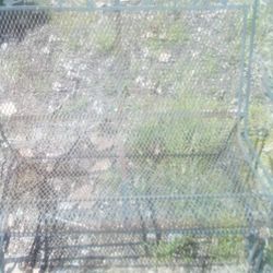 Hokus Pocus Womens Western Boots