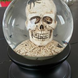 Halloween skull snow globe