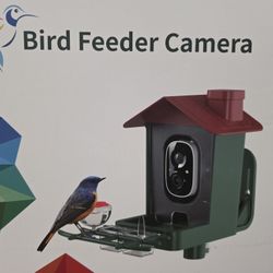 Bird Feeder with Camera Outdoor Solar: Smart Birdfeeder Cam for Outside Garden - 2K HD Live Video Camera AI Recognition Visible Window Auto Capture - 