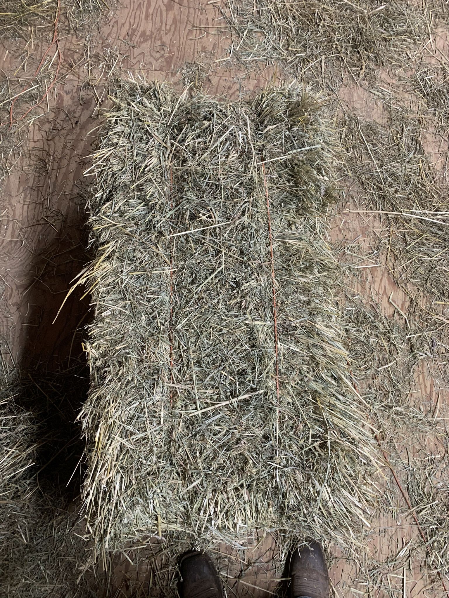Timothy Orchard Combination Hay