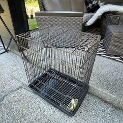 Bird Cage 