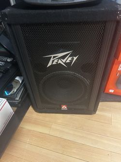 10 Inch Peavey Passive Speaker