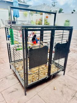 Bird Cage (travel bird cage)