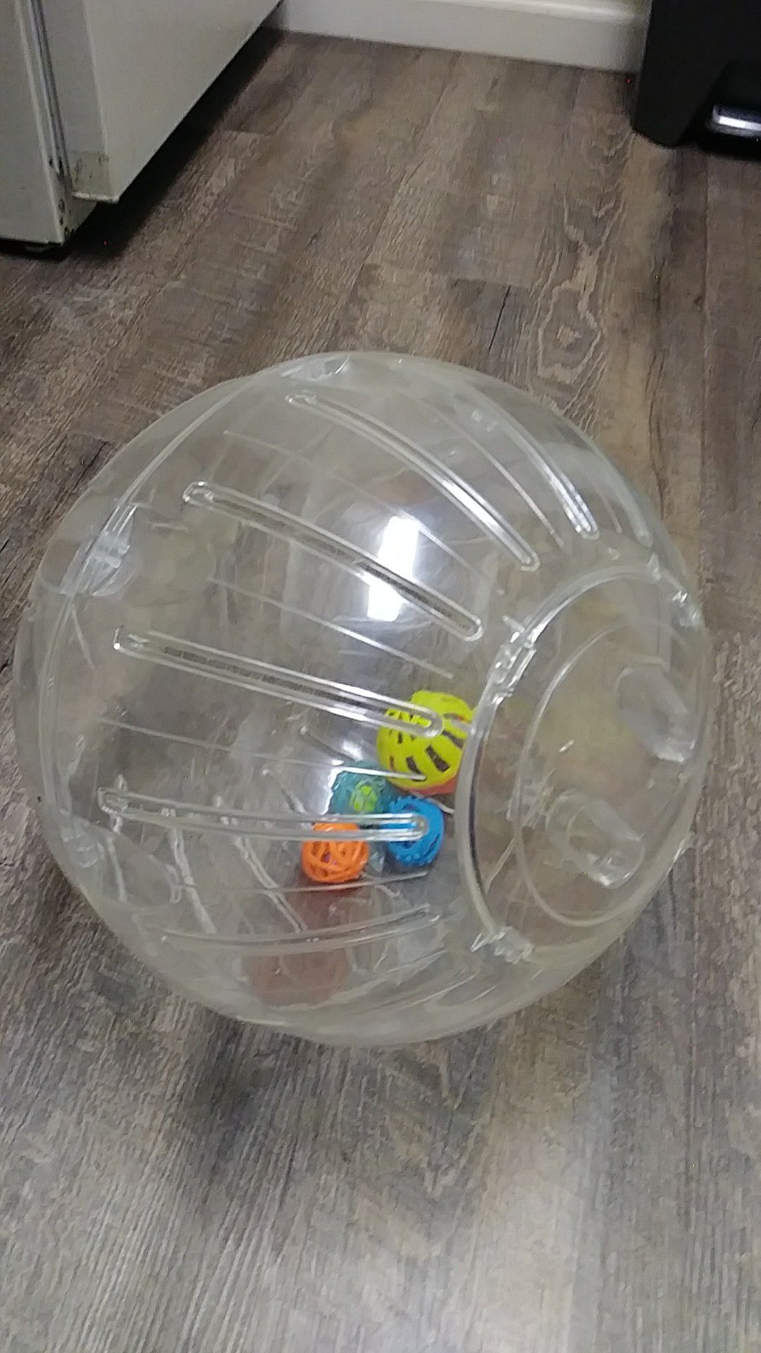 Chinchilla ball with toys