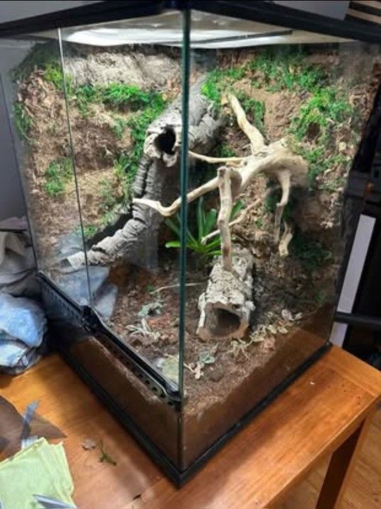Custom Reptile and Amphibian Enclosures