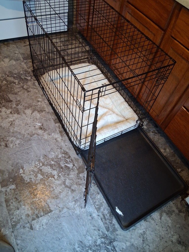 Dog Crate 