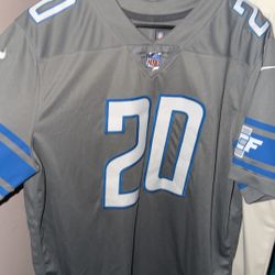 Detroit Lions