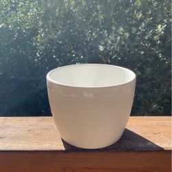 Plants Pots 