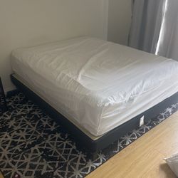 Mattress Firm Bed And Frame (NEED GONE)