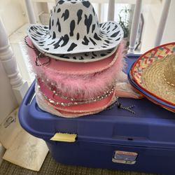 Bachelorette Party Cowgirl Hats (set of 10)