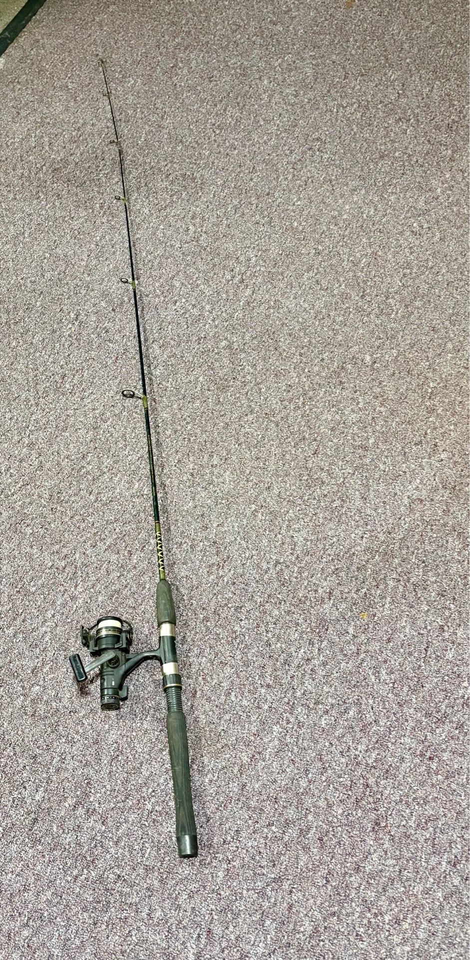 Fishing pole and open casting reel