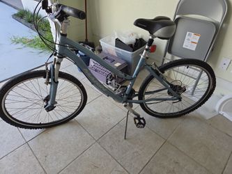 Womens Marin street bike