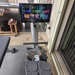 Aviron Interactive Rower - Model ISRA (Great Condition)