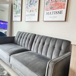 Velvet Plush Couch
