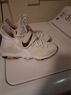 Lebron 15 size 8.5