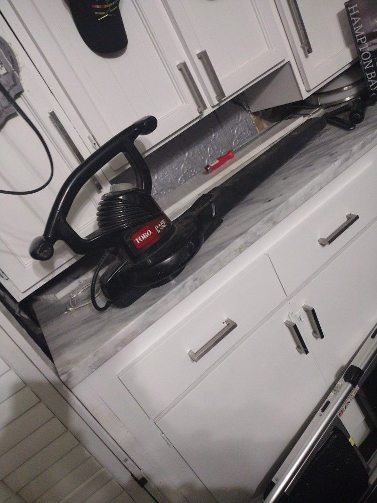 Toro Leaf Blower