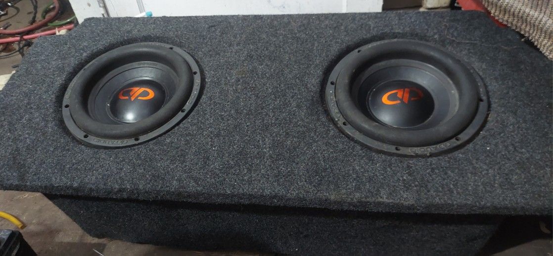 DB 10 INCH SUB