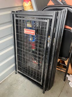 Lucky dog panels