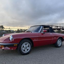 1989 Alfa Romeo Spider