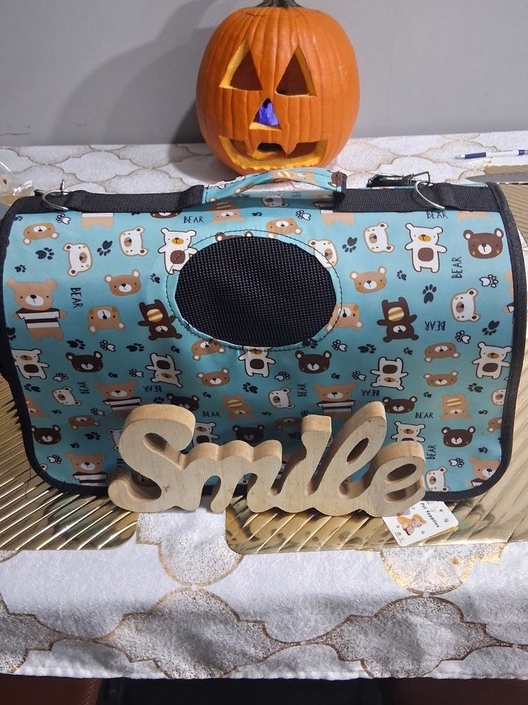 Small dog or kitten carrier