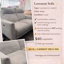 Loveseat Sofa