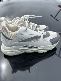 Dior B22