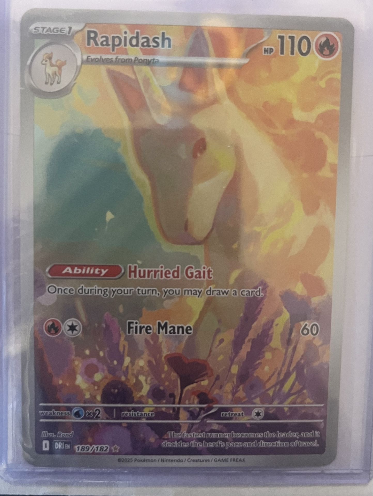 English Pokemon Cards