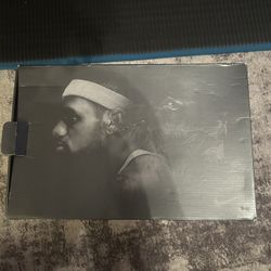 Nike LeBron VIII QS (South Beach)