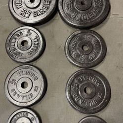 Weight Plates.       75 Dollars 