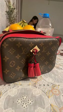 Loui Vuitton purse