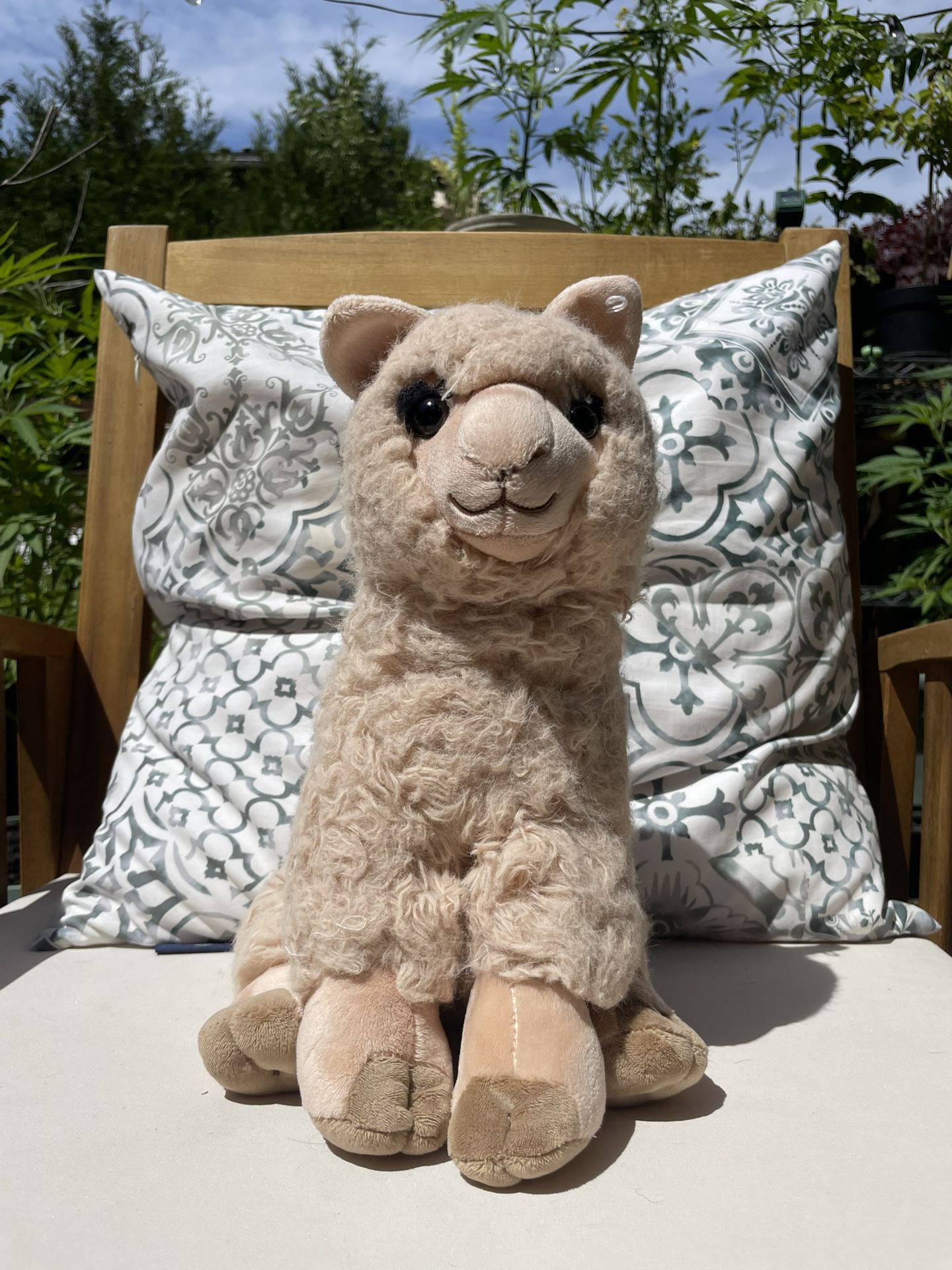 Beige Alpaca